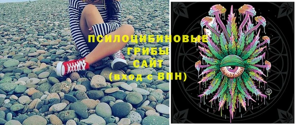 мдпв Абинск